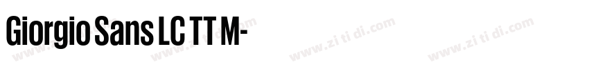 Giorgio Sans LC TT M字体转换
